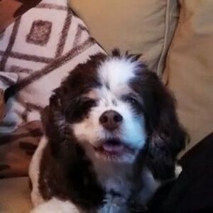 Meet your Posher, Beth